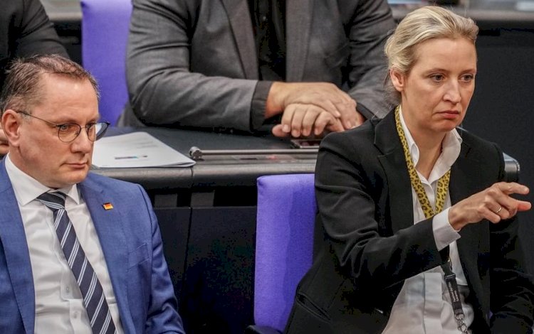 BR: AfD'nin 100'den fazla meclis çalışanı aşırı sağcı