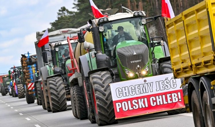 AB Ukrayna'ya gümrük muafiyetini kısıtladı