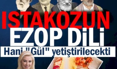 Istakozun Ezop dili...Hani "Gül" yetiştirilecekti