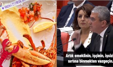 Istakoz Meclis gündeminde