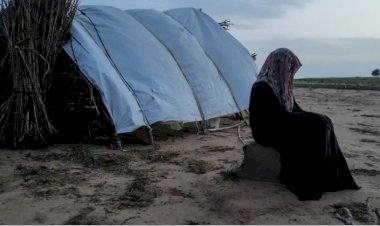 BM raporu: Çatışma bölgelerinde cinsel şiddet arttı