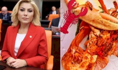 Istakoz, Maldivler, pahalı saat muhalefeti AKP'nin AK'lanmasına yeter mi?