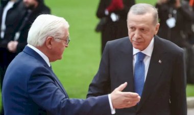 Almanya'da Steinmeier'e "Erdoğan ile açık konuş" çağrısı