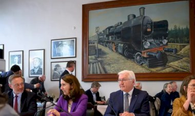 Alman basını Steinmeier'in Türkiye gezisini nasıl yorumladı?