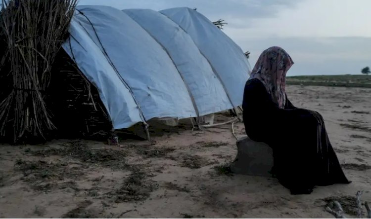 BM raporu: Çatışma bölgelerinde cinsel şiddet arttı