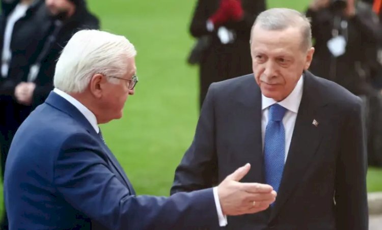 Almanya'da Steinmeier'e "Erdoğan ile açık konuş" çağrısı