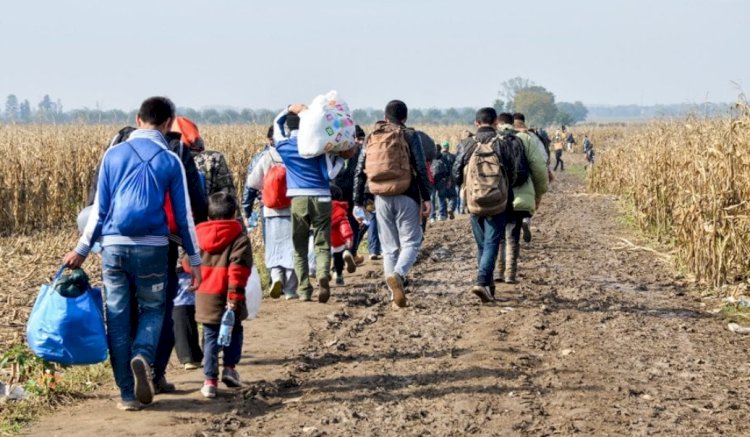 Usulsüzlük iddiaları Avrupa Sayıştayı'nın raporunda