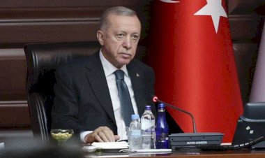 Erdoğan'dan milletvekillerine "ıstakoz" ve "Rolex" tepkisi: Bunlar bilinemeyecek, akıl edilemeyecek şeyler değil