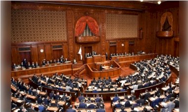 Japonya Temsilciler Meclisi'nden PKK kararı: 'Dikkatle izlememiz gerekiyor...'