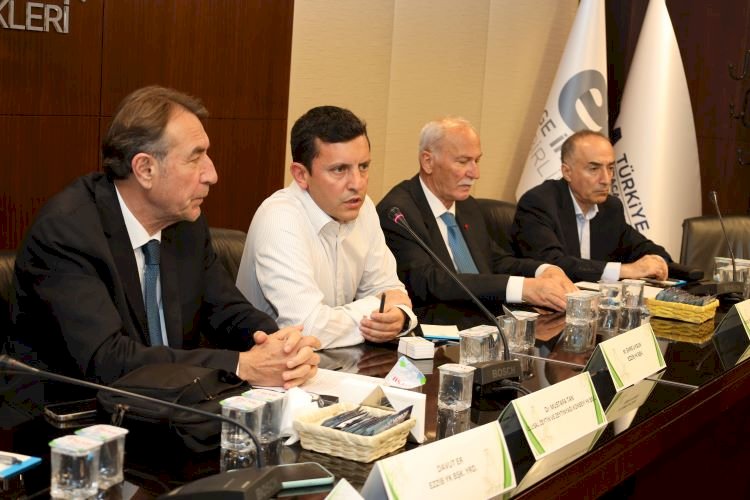 Türk Zeytinyağı Sektöründen Ortak Çıkış: İhracat Yasağı Kaldırılsın