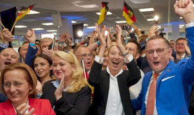Almanya'da aşırı sağcı AfD oyunu nasıl artırdı?