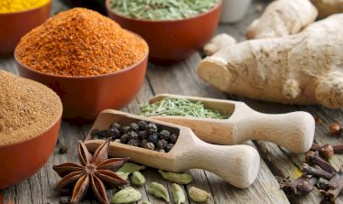 The Cereals, Pulses, Oilseeds Sector Dominates TİM’s Top 1000 Exporters List