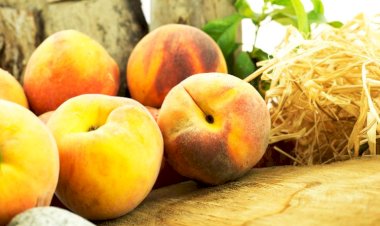 Peach and Nectarine Exports Soar Towards $250 Million