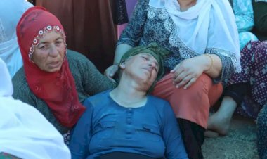 Diyarbakır ve Mardin'de yangın: 'Herkes kendi imkanıyla yangını söndürmeye gitti ama alevlerin ortasında kaldılar'