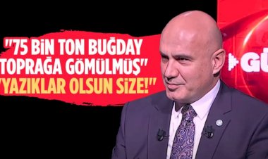 TMO'nun Buğday Skandalı: Türk Çiftçisinin Ürünleri Çürüyor, İthalat Devam Ediyor