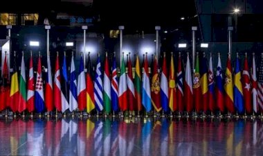 NATO'nun misyonu ne, üye ülkeler bütçelerinin ne kadarını savunmaya harcıyor?