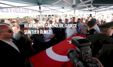 Şehit Astsubay Kıdemli Çavuş Talay, Sakarya'da Son Yolculuğuna Uğurlandı