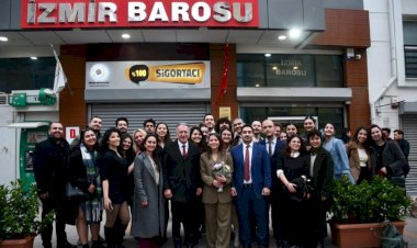 Sokak Hayvanları Sahipsiz Değildir: Hayvan Haklarına Büyük Darbe