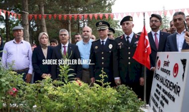 Şehit Ömer Halisdemir, Kabri Başında Anıldı