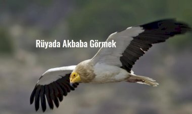 Rüyada Akbaba Görmek