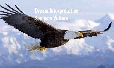 Dream Interpretation: Seeing a Vulture