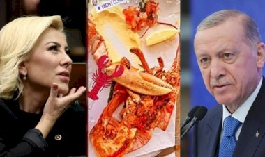 Fethullah Gülen'i Öven General, Ziyaret Eden Milletvekili ve Bakan: Türkiye'nin Adalet ve Bürokrasi Sorunları