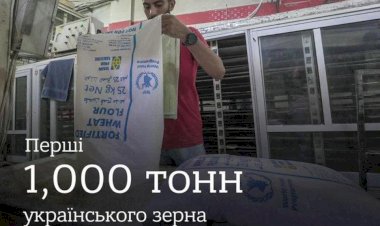 Ukrayna'nın Gazze'ye Yardımı: Stratejik Bir Değişim mi?