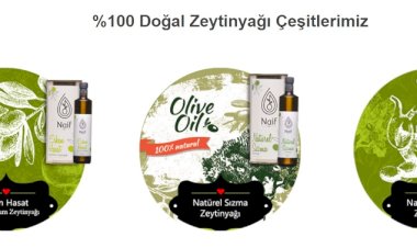Kendi Zeytin Ağacınıza Sahip Olun: Naif Ege Zeytincilik ile Unutulmaz Bir Deneyim