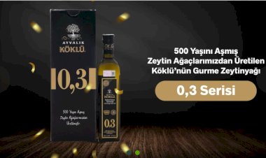 Ayvalık’tan Gelen Doğal Lezzet: Köklü Zeytincilik