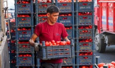 Türkiye'de Çiftçi Eylemleri Yayılıyor: Tarımda Yeni Bir Örgütlenme Dönemi mi Başlıyor?