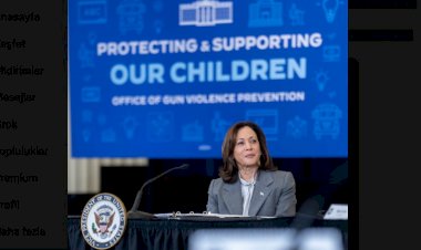 Vice President Kamala Harris Emphasizes Need for Further Action on Gun Safety