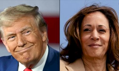 Trump ve Harris, 10 Eylül'de İlk Kez Canlı Yayında Karşı Karşıya Gelecek