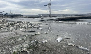 İzmir Körfezi’nde Balık Ölümleri ve Kötü Koku Krizi Devam Ediyor