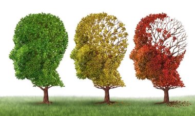 Genç Yaşta Başlayan Alzheimer Daha Agresif Olabiliyor: Erken Müdahale ile Riskleri Azaltın!