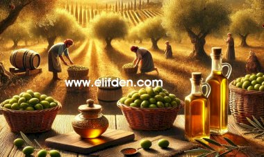 Türkiye Zeytin ve Zeytinyağında Rekor Sezona Hazır: 200 Bin Ton Zeytinyağı, 100 Bin Ton Sofralık Zeytin İhracat Hedefi