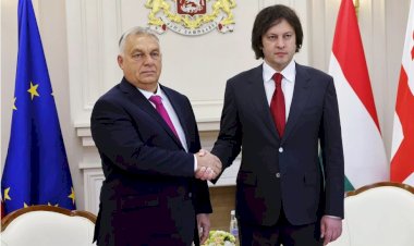 Orban’ın Gürcistan Ziyareti AB Ülkelerinde Tepki Yarattı