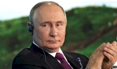 Putin, ABD Başkanlık Seçiminde Trump mı Harris’i mi Tercih Eder?