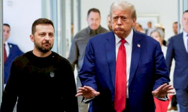 Zelenskiy ve Trump Telefonda Görüştü: ABD-Ukrayna İşbirliği İçin Güçlü Mesajlar