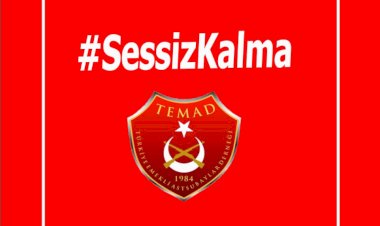 Türk Silahlı Kuvvetleri İçerisinde Astsubayların Sorunları ve Hak Talepleri