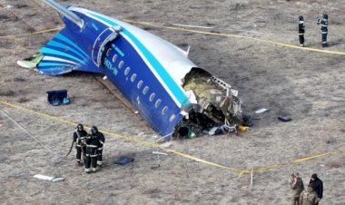 What If Our Plane Crashes Too?