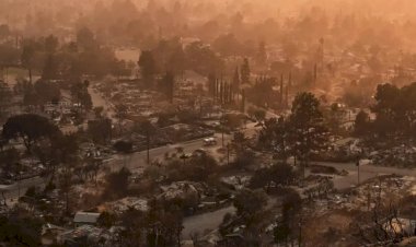Los Angeles Yangınları: Nedenler, Hasar ve Son Durum