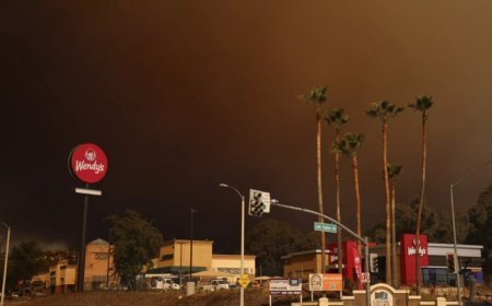 Los Angeles'ta Hughes Yangını: 50.000 Kişiye Tahliye Emri