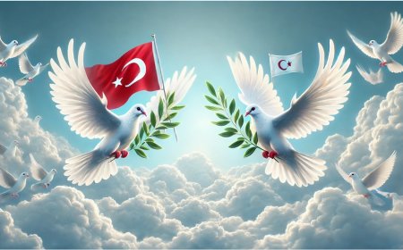 Öcalan, PKK’ya silah bırak, Örgütü Tasfiye Ettim Derse Ne Olur?