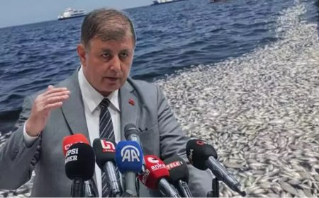 İzmir Büyükşehir’in Çılgın Projesi: Gerçekçi Plan mı, Hayal mi?