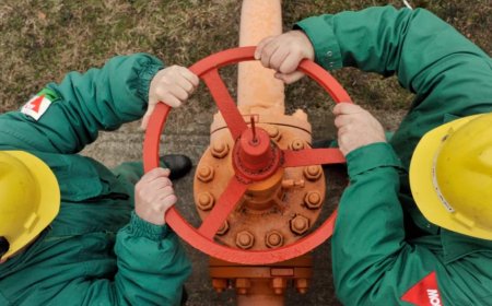 AB, Rus Gazını Bırakıp ABD ve Yenilenebilir Enerjiye Yöneliyor