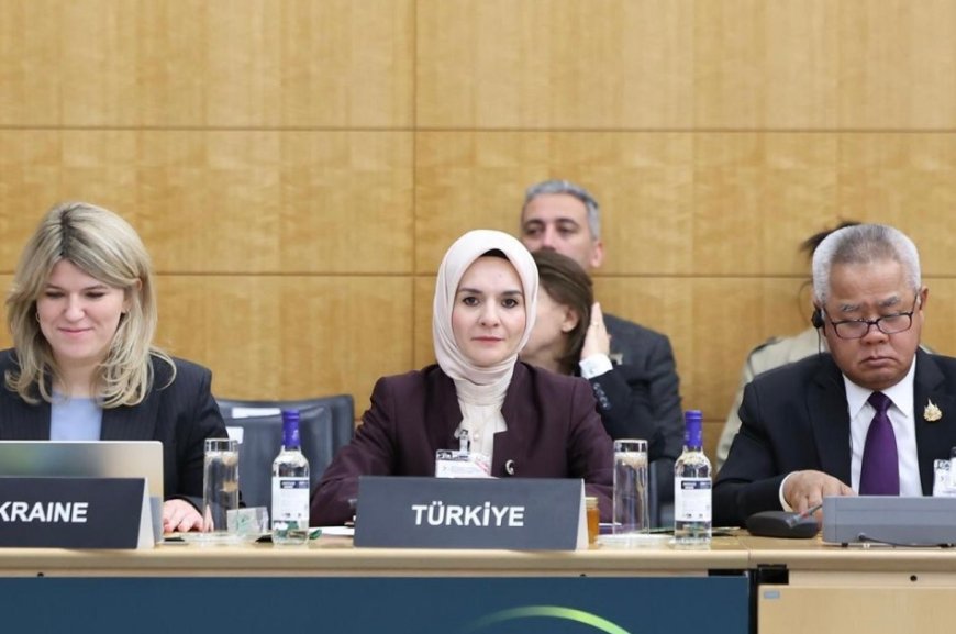 Turkish Family Minister Mahinur Özdemir Göktaş Announces 2025 as "Family Year," Faces Criticism from Journalist Yusuf İnan