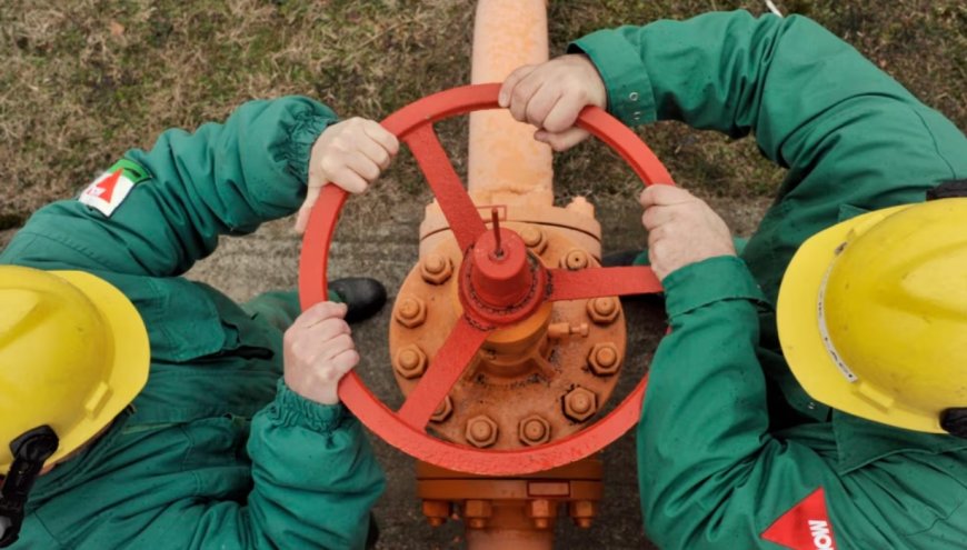 AB, Rus Gazını Bırakıp ABD ve Yenilenebilir Enerjiye Yöneliyor