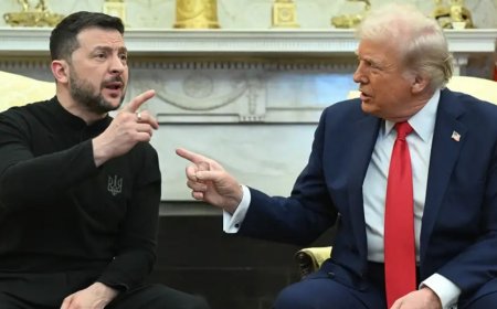 Zelenskiy’den Trump’a Zeytin Dalı: Barış İçin İş Birliğine Hazırım