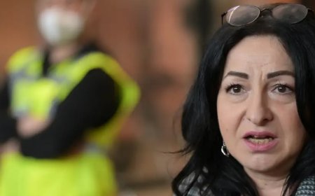 Alman Siyasetçi Dilek Kalaycı’ya Rüşvet Suçundan Hapis Cezası