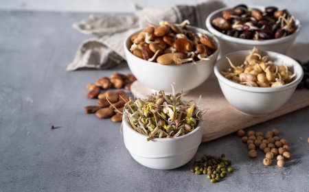Filizlendirilmiş tohumlar, sadece bir besin değil; yaşam tarzının parçası